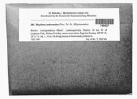 Image Associated With the Occurrence